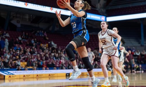 Girls basketball tournament: Eastview rides suffocating defense to blowout quarterfinal win over Anoka