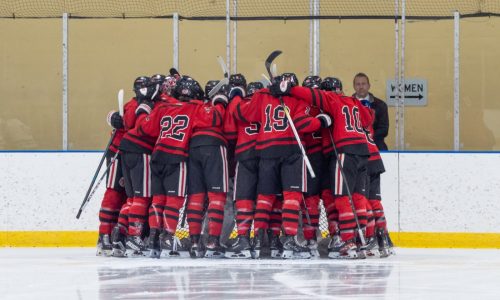 State hockey: Stillwater is back in the tournament, led by a deep, talented crop of seniors