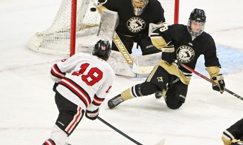 Class AA boys state hockey: Relentless Ponies tame Andover in quarterfinals