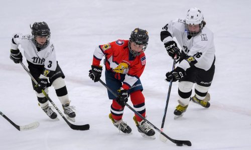 Trump tariff tumult has ripples for sporting goods, puts costly hockey gear in price-hike crosshair