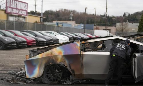 Violent attacks on Tesla dealerships spike as Musk takes prominent role in Trump White House