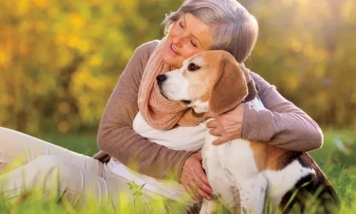 The Healing Power of Pets
