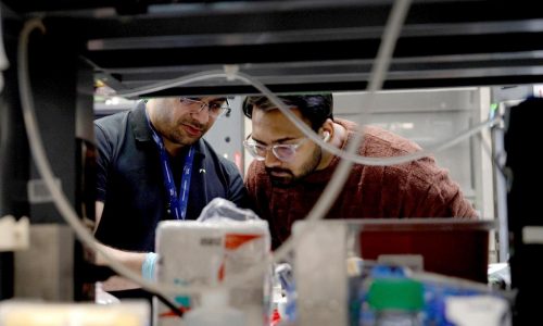 Jobs lost in every state and lifesaving cures not discovered: Possible impacts of research cuts