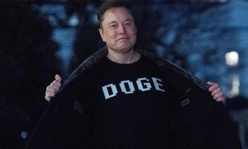 Musk eyes Social Security and benefit programs for cuts while claiming widespread fraud