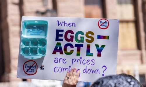 Why should America worry about Trump? Try the price of eggs, say some Democrats