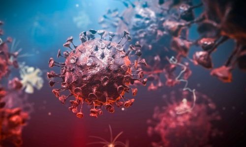 Zeynep Tufekci: We were badly misled about the event that changed our lives