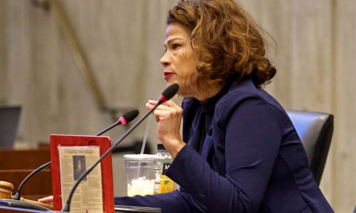 Boston City Council presses for Trust Act expansion, after Mayor Wu’s Congressional sanctuary hearing