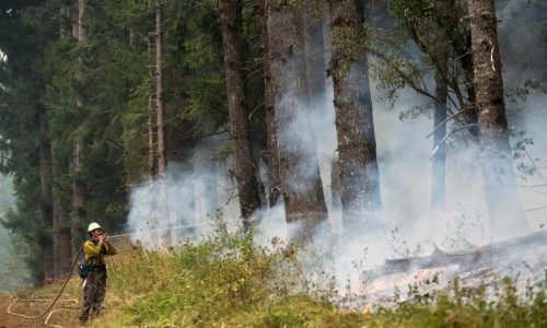 States’ wildfire plans at risk amid budget woes and federal uncertainty