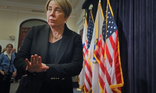 Healey says Dems need to rebrand but keep up the fight for diversity, equity, and inclusion