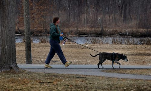 Boston weather: City expecting ‘seasonal’ moderate temperature, bouts of rain over next week