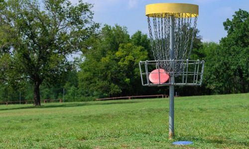 Best disc golf set
