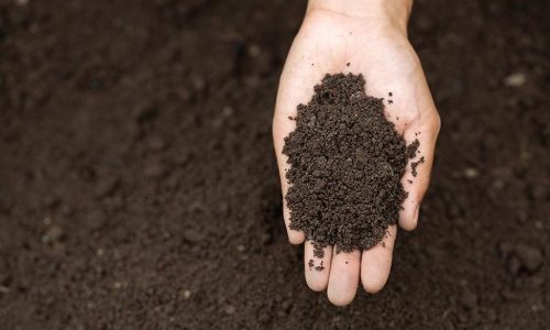 Best soil test kits