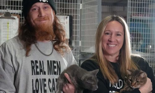 Opinion: Rescues Ask the Hard Questions Up Front to Minimize Revolving Doors at Animal Shelters