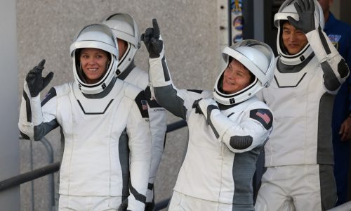 SpaceX scrubs Crew-10 launch attempt delaying trip to the space station