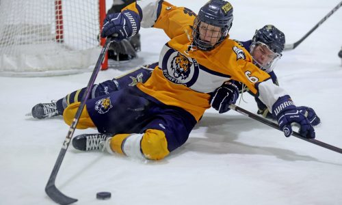 Winthrop blanks Littleton, heads to Div. 4 state boys hockey semifinal