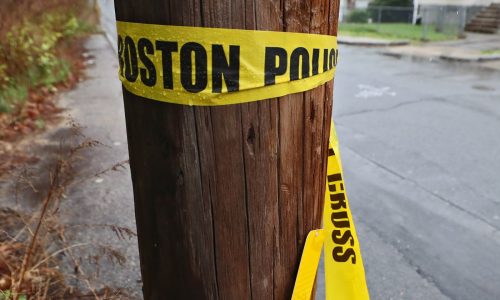 Howie Carr: Gunning for just the facts with BPD