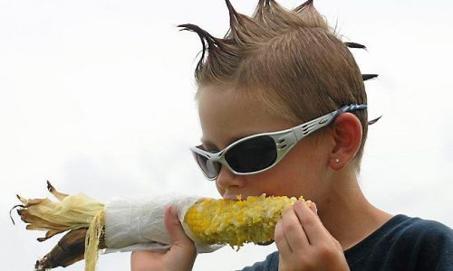 Taste of Minnesota returning to Minneapolis, announces lineup