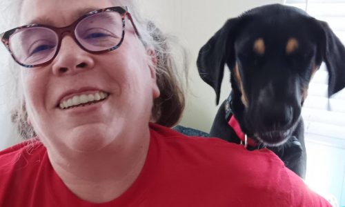 ‘If they cut too much, people will die’: Health coalition pushes GOP on Medicaid funding