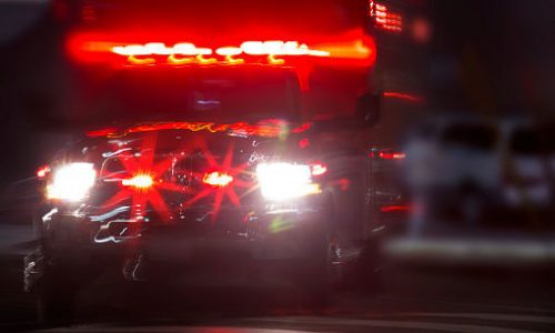 Central Minnesota collision kills black bear, injures motorist