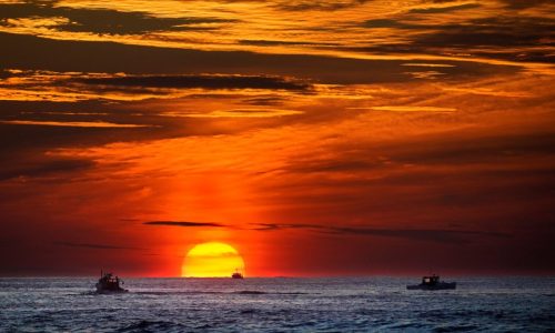 Environmental groups fear Trump’s order to speed deep-sea mining will harm ecosystems