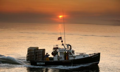 Ticker: Fishers celebrate Trump’s seafood order while conservation groups fear overfishing; Capital One $35B purchase of Discover Financial gets regulatory approvals