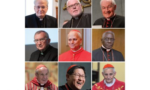Which cardinals are seen as contenders to be the next pope?