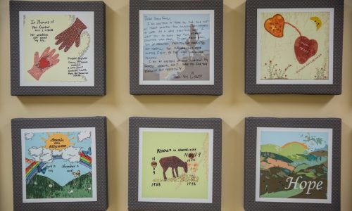 Families have to find their own livers because of organ donor shortfall