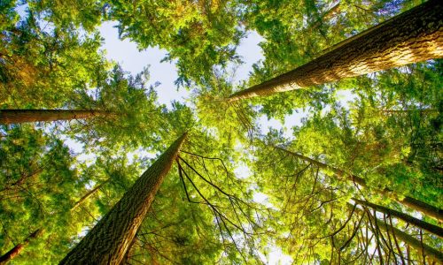 Gaskin: Earth Day in a ‘drill, baby, drill’ world