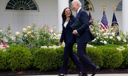 Alam: Dems choosing ideology over electability