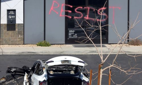 Sisson & Franz: Environmentalists sabotage their agenda