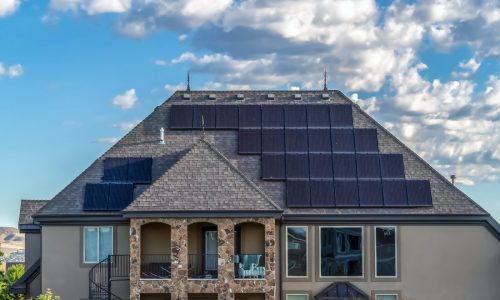 How to make your home more eco-friendly