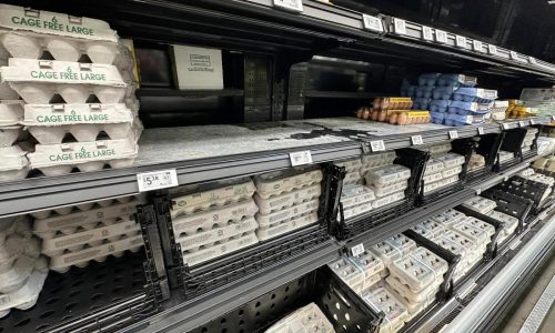 US egg giant Cal-Maine says government is investigating price increases