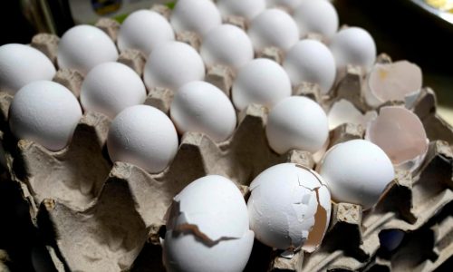 Ticker: Fake eggs an option this Easter; Wholesale inflation fell in March