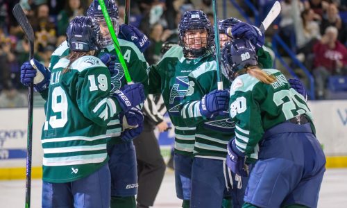 Boston Fleet net big shutout win before large crowd in Lowell