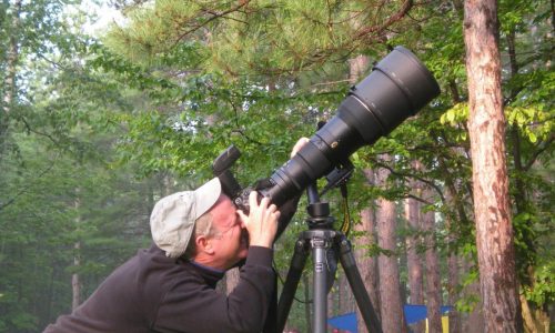 Every yard makes a difference. Native-plant champion Doug Tallamy’s got a new book explaining how