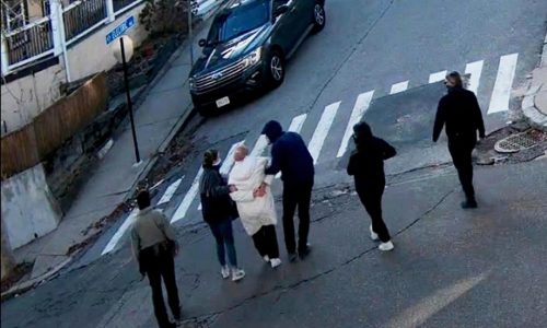 Immigration judge denies bond for Tufts University student from Turkey, her lawyers say