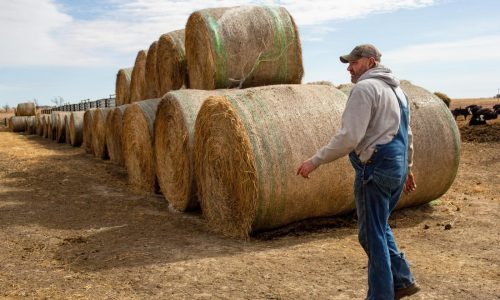 A pipeline company filed hundreds of lawsuits against Midwestern landowners. Now its project is threatened.