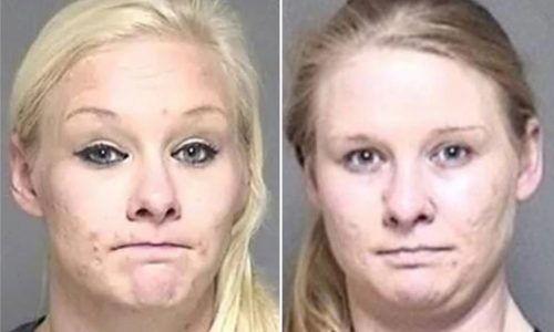 Identical twin sister spared prison for trying to swap identity in fatal Amish buggy crash