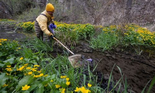 10 Minnesota environmental nonprofits join forces for Earth Day fundraiser