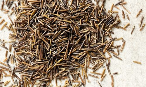 Court upholds MPCA’s wild rice sulfate limits downstream of Iron Range mine