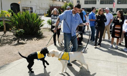 Tears and tail wags: Inmates reunite with service dogs they raised