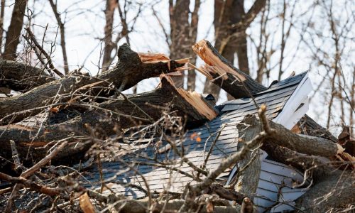 Forecasters warn of deadly floods and strong tornadoes in parts of the Midwest and South