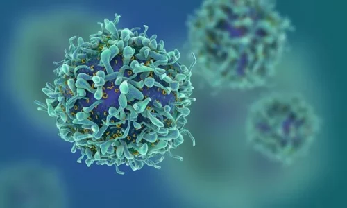 The T-Cell Suppression Scandal: How Bureaucratic Red Tape Delayed a Life-Saving Medical Breakthrough