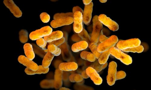 Whooping cough cases are rising again in the US, challenging public health departments