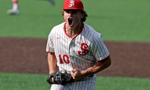 Div. 1-2 baseball preview: BC High, Plymouth North look to repeat