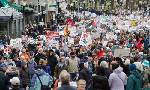 Lucas: Whatever Trump is for, protestors are against