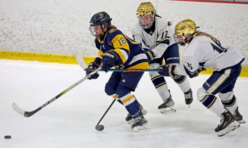 Girls hockey All-Scholastics and league All-Stars