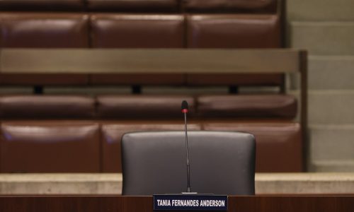 Boston City Council push to bypass Tania Fernandes Anderson special election blocked … for now