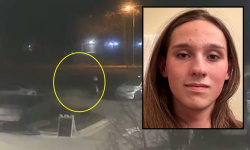 UMass Boston student accused of firebombing Kansas City Tesla dealership