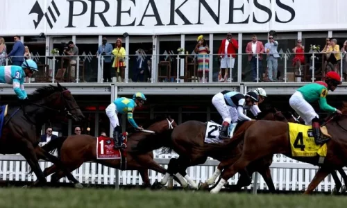 2025 Preakness Stakes Preview: What You Need to Know
